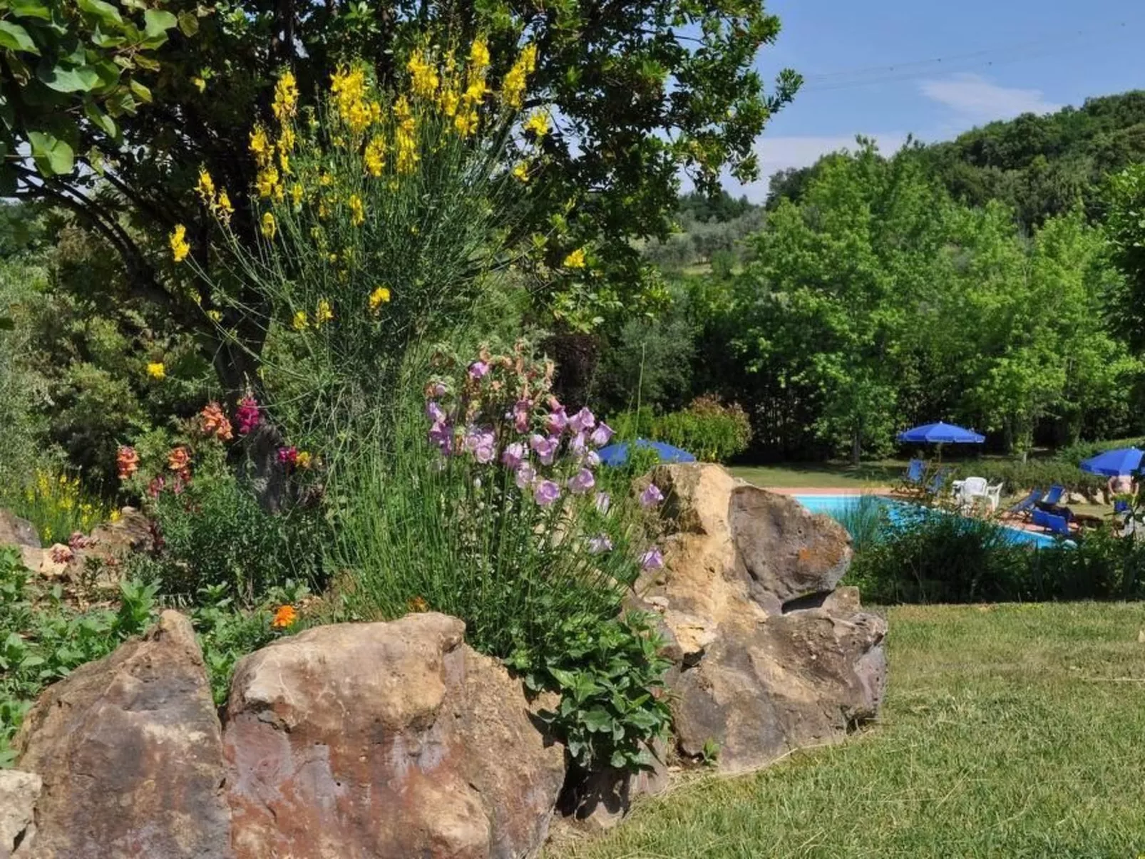 Flach "Madonnino corbezzolo T6-Buiten