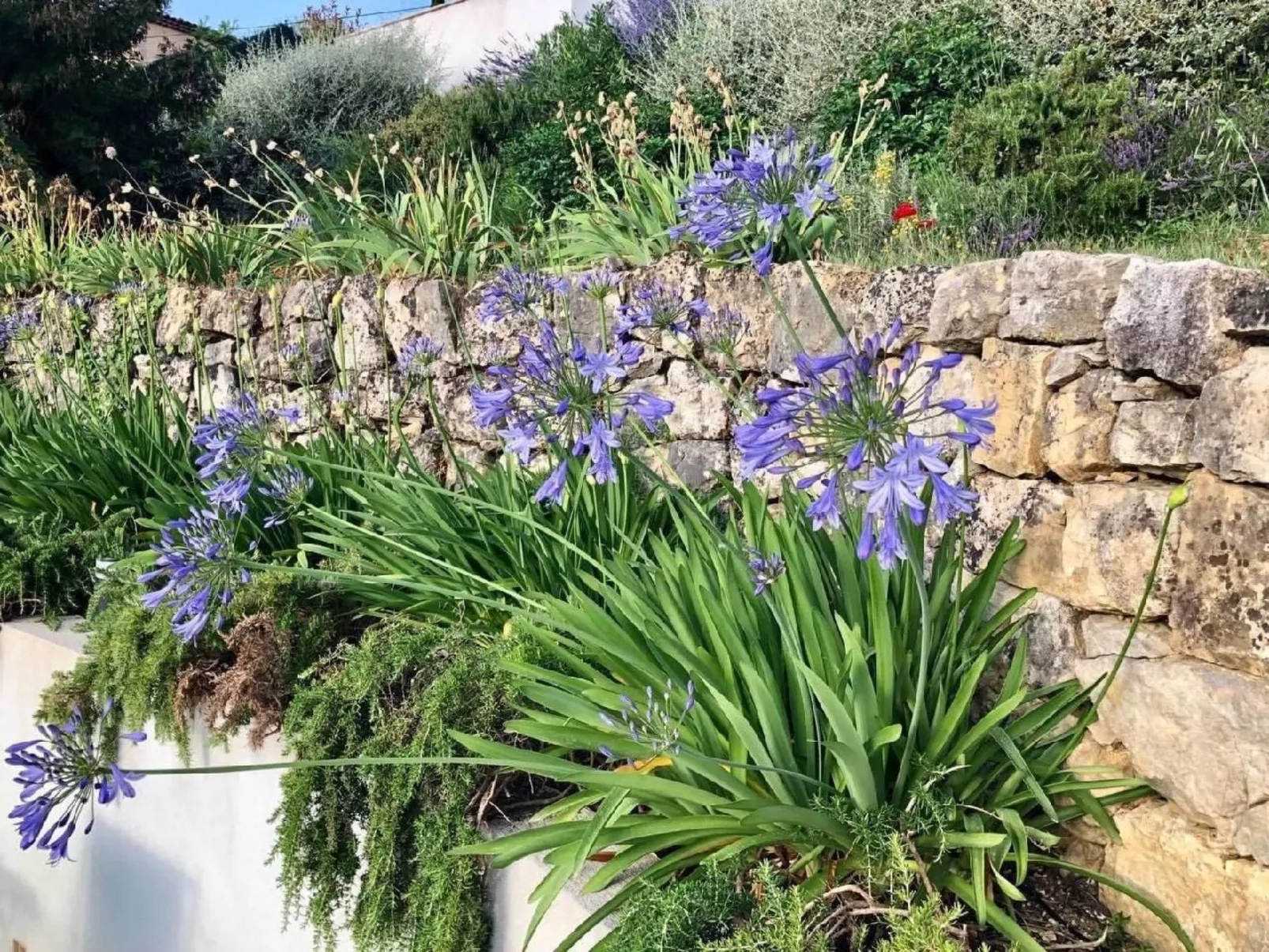 Côte d'Azur ganze Villa beheizter Pool Meerblick-Image-tags.info