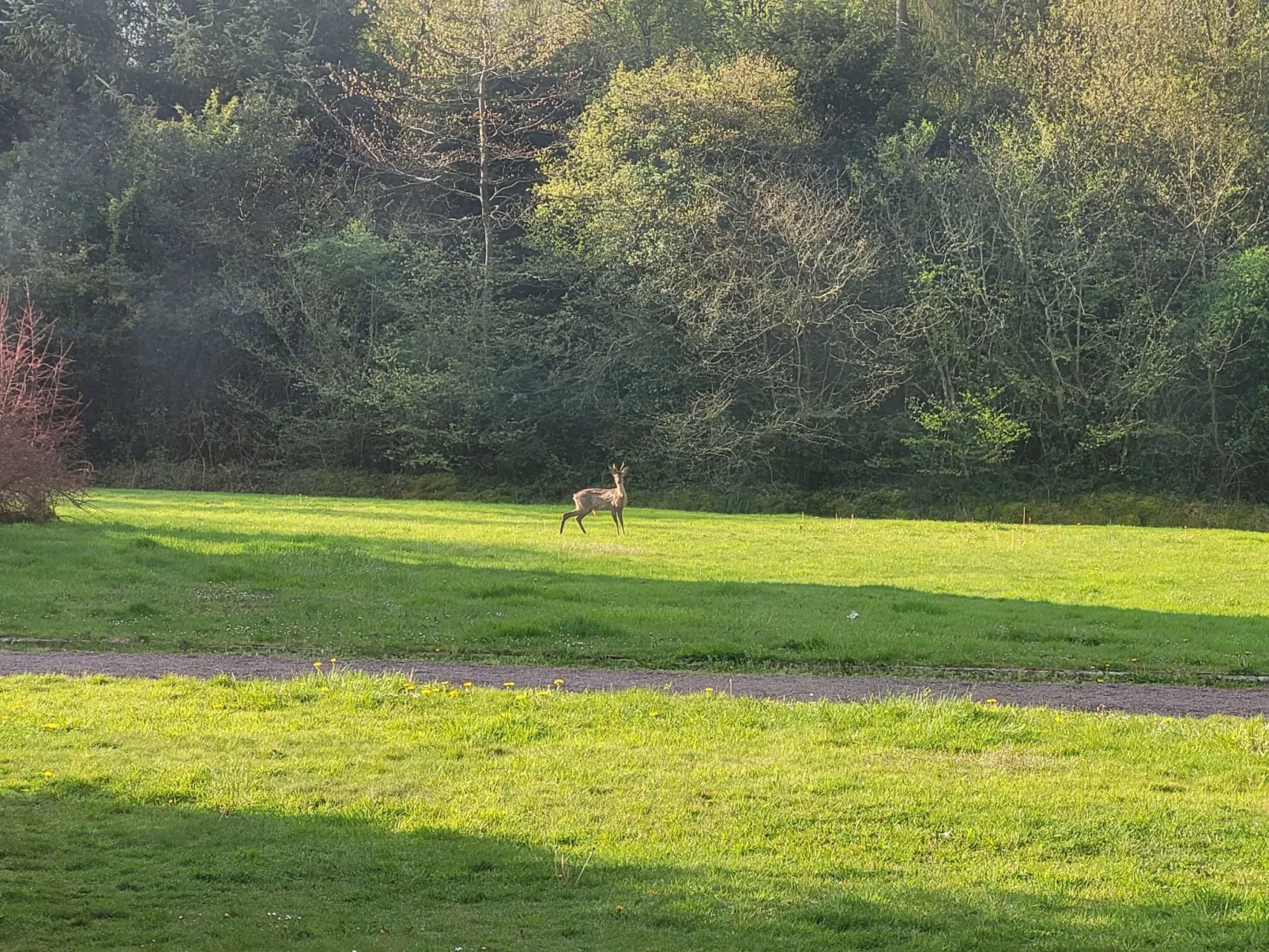 Renoviertes Ferienhaus in der Nähe von Cabourg-Deauville-Lisieux-Buiten