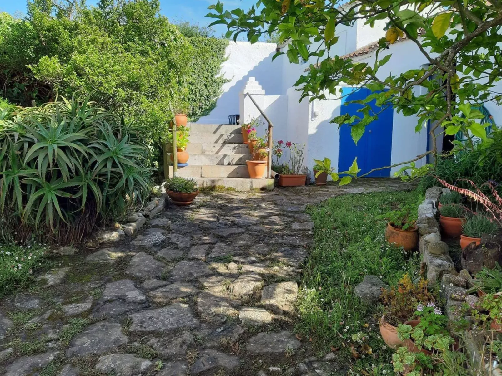 Historisches Haus in der Nähe des historischen Dorfes von Óbidos-Image-tags.info