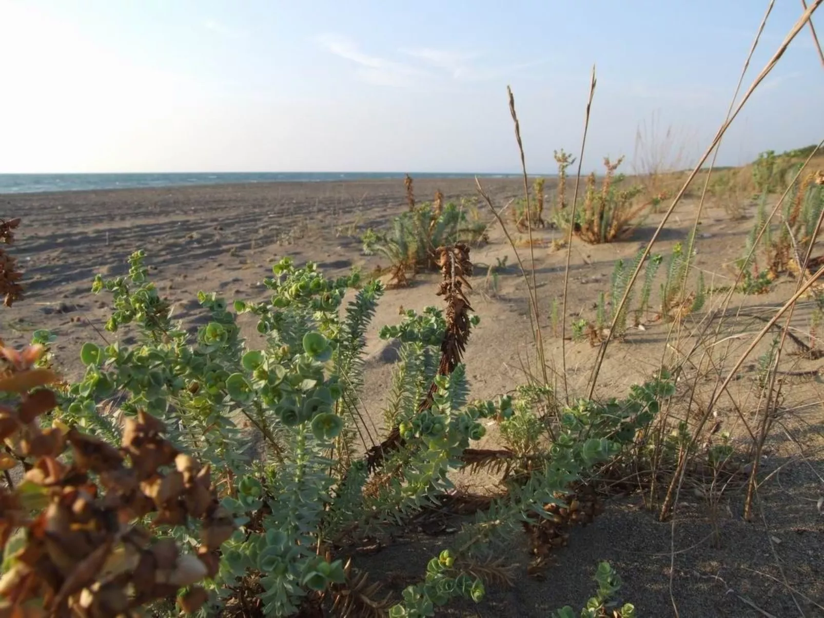 Wohnung 'Windows' in Strandnähe-Buiten