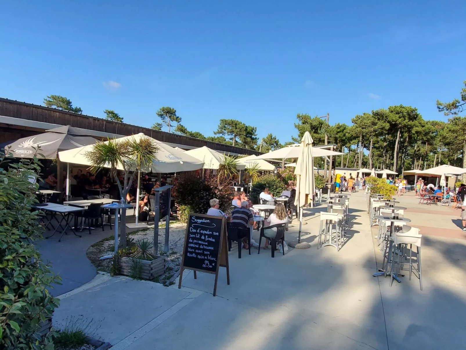 Mobil-home tout confort Camping 5 à Montalivet