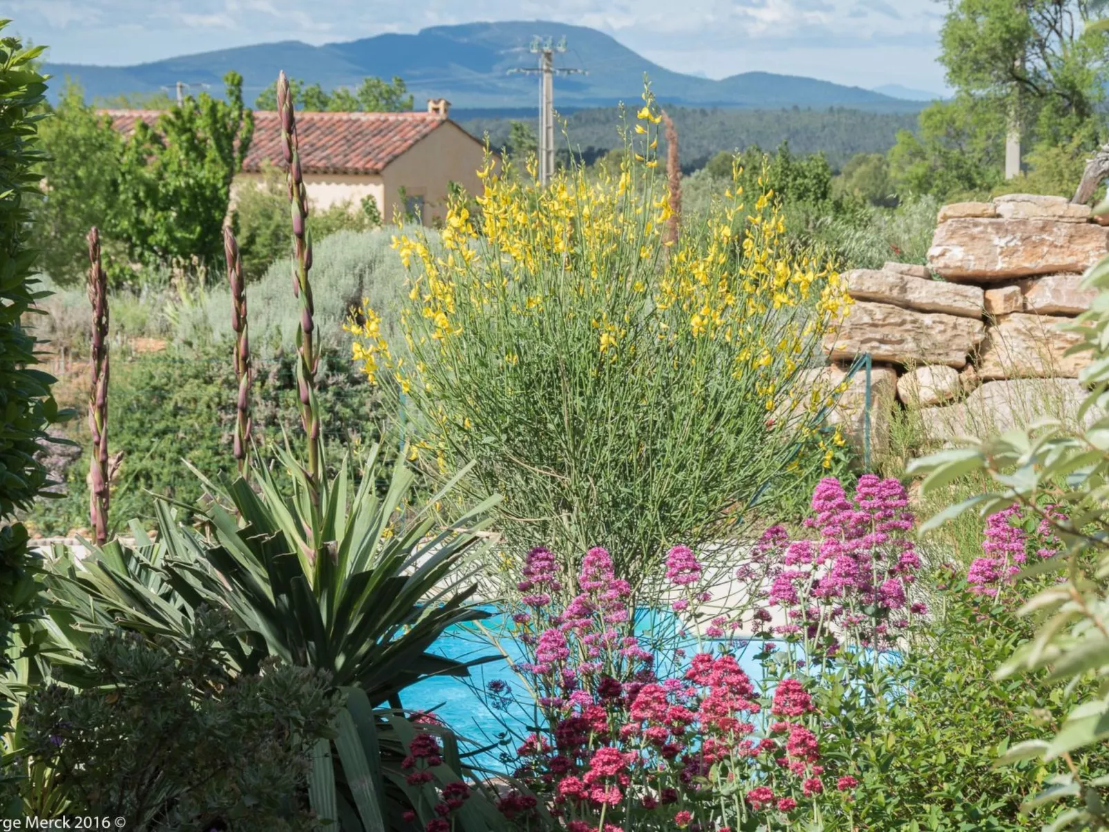 Pin parasol-Image-tags.info