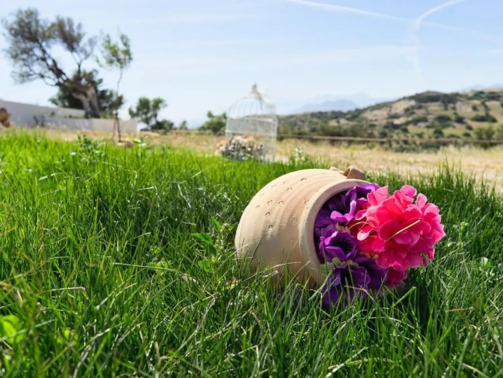 George Meerblick Triopetra-Image-tags.info