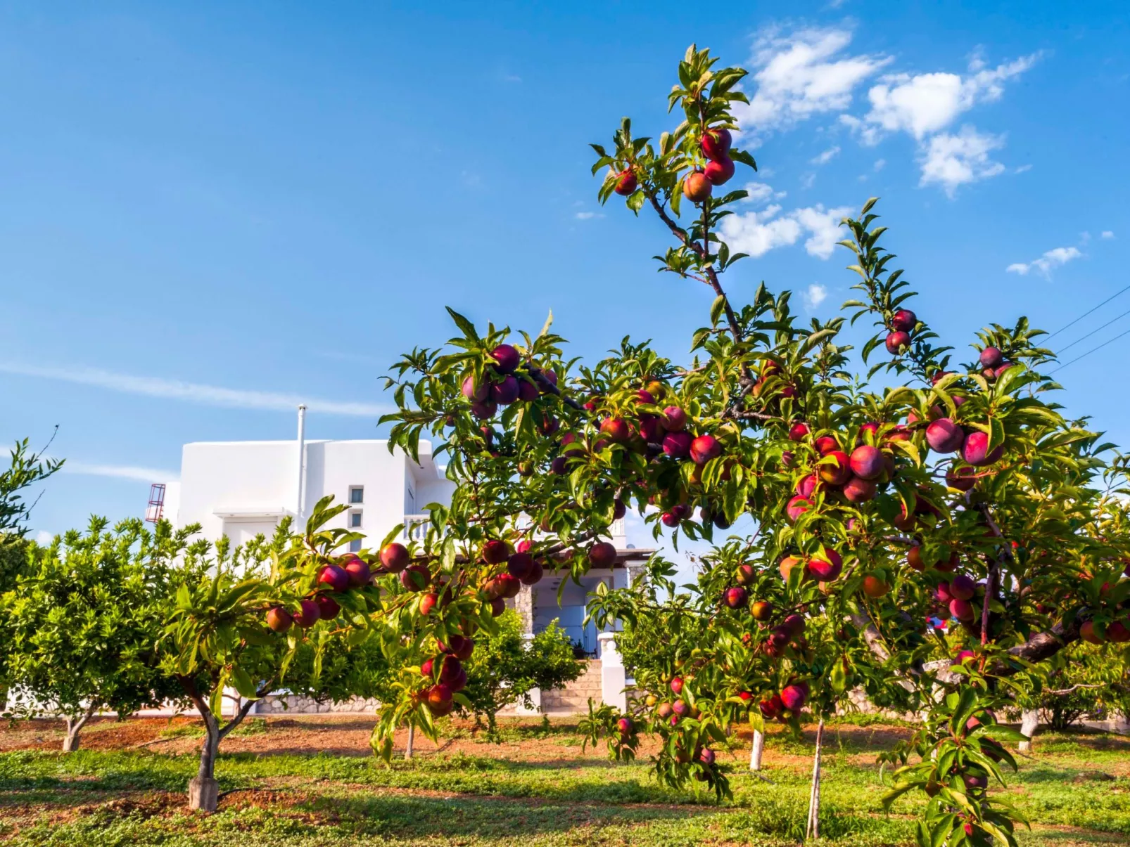 Ferienvilla Dionysus für 9 Personen-Image-tags.info