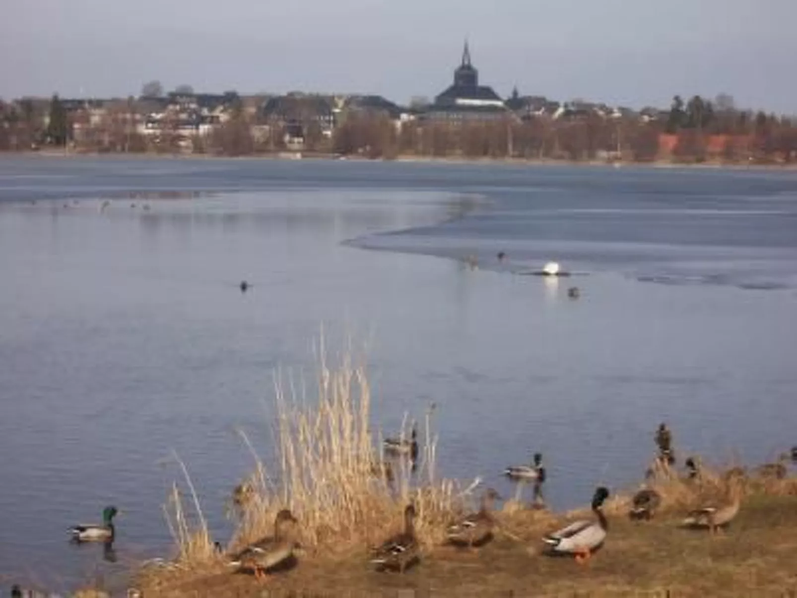 Am Weißenstädter See-Image-tags.info