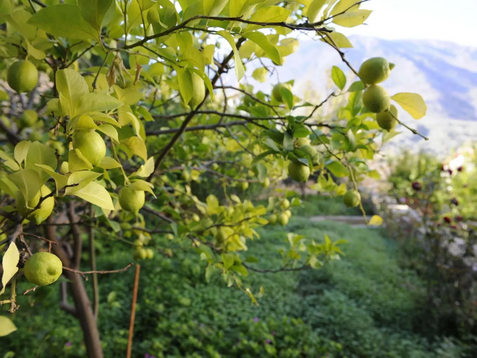 Villa mit Seeblick und Pool in der Nähe von Restaurants-Image-tags.info