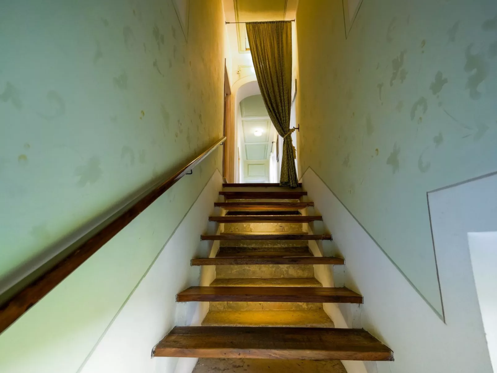 Flach 'Molinello Cipresso-Image-tags.info