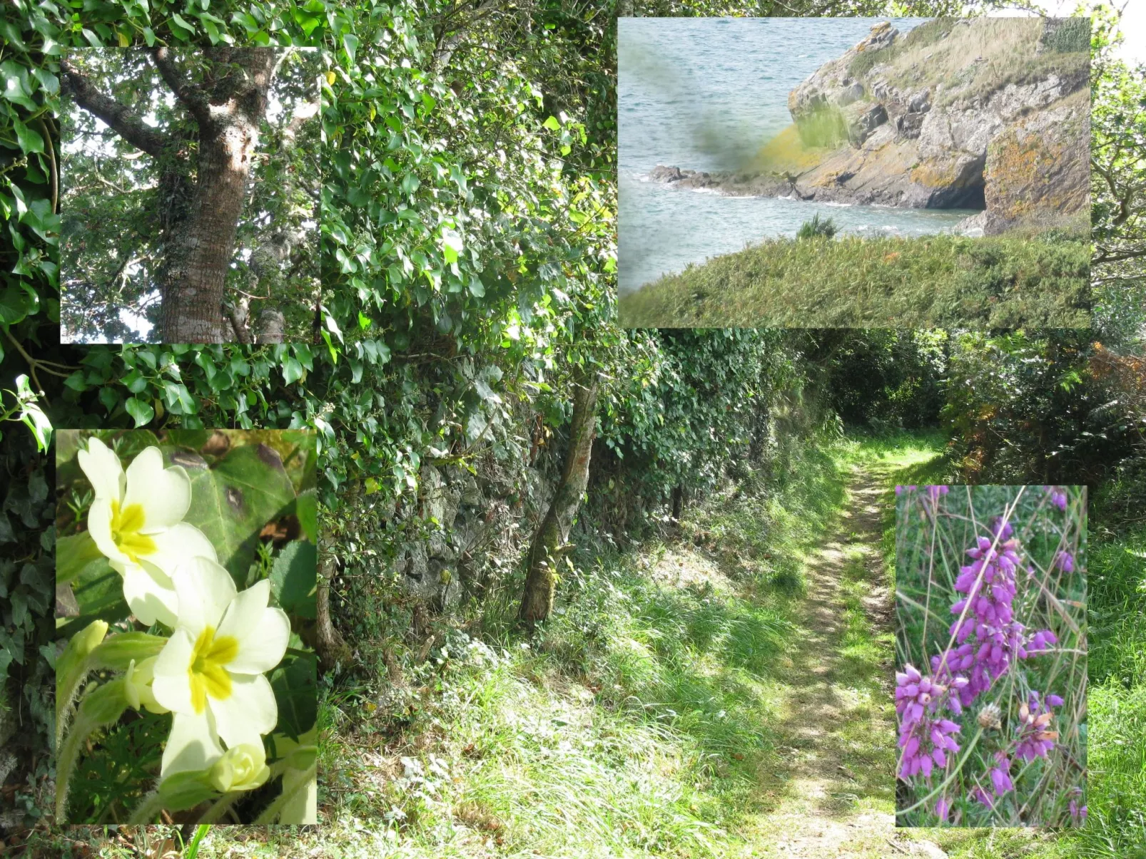 Haus auf der Halbinsel Plougastel-Buiten