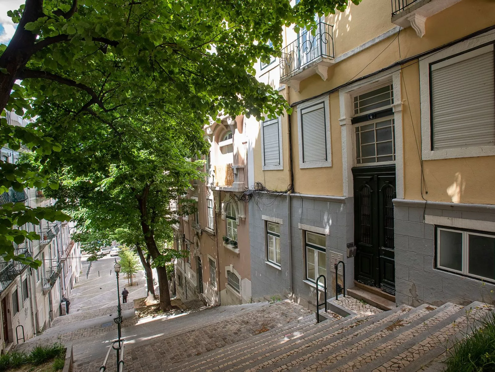 Baum Liverpooler Terrasse-Buiten