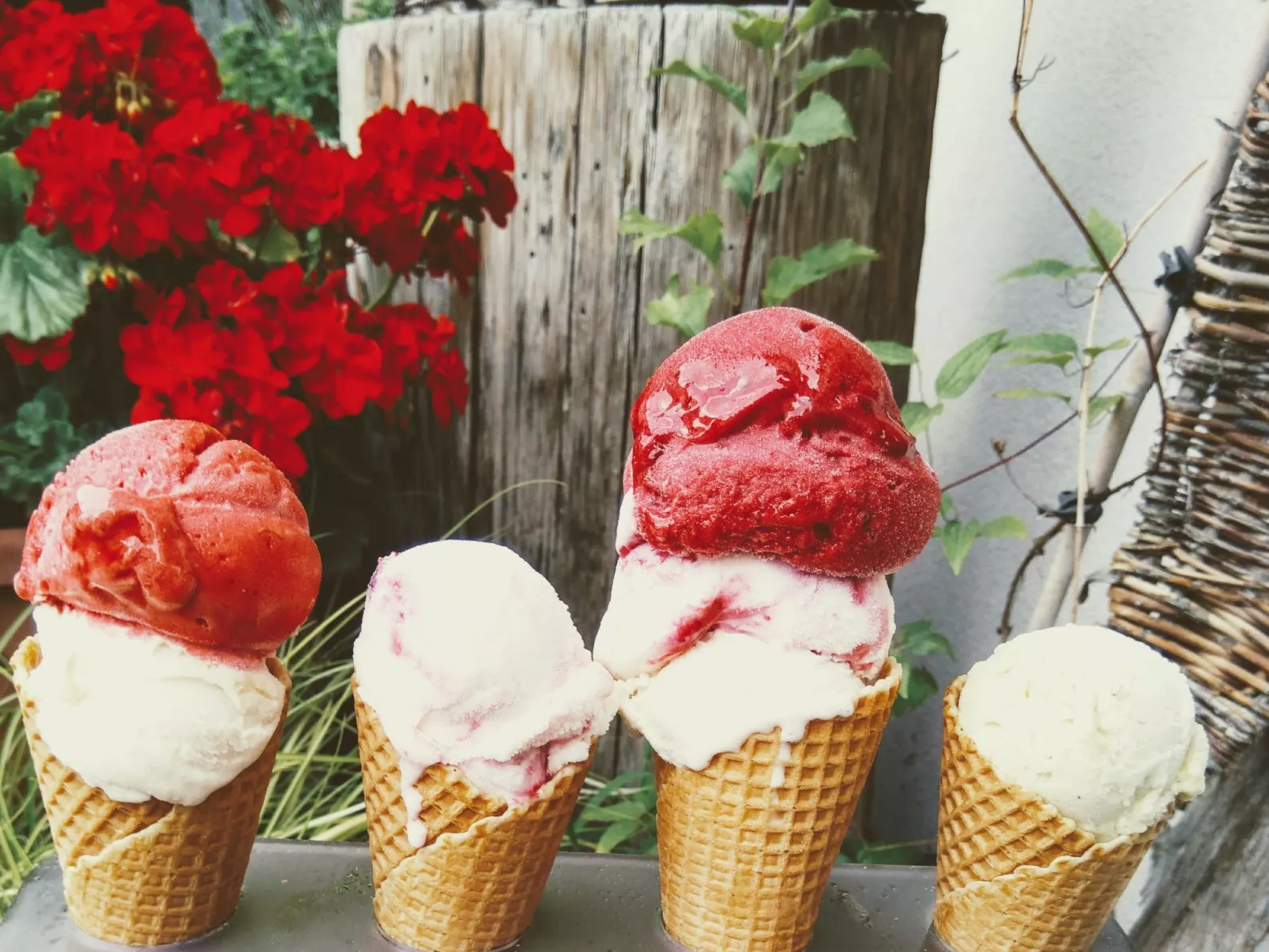 Mit Terrasse auf einem Bauernhof-Buiten