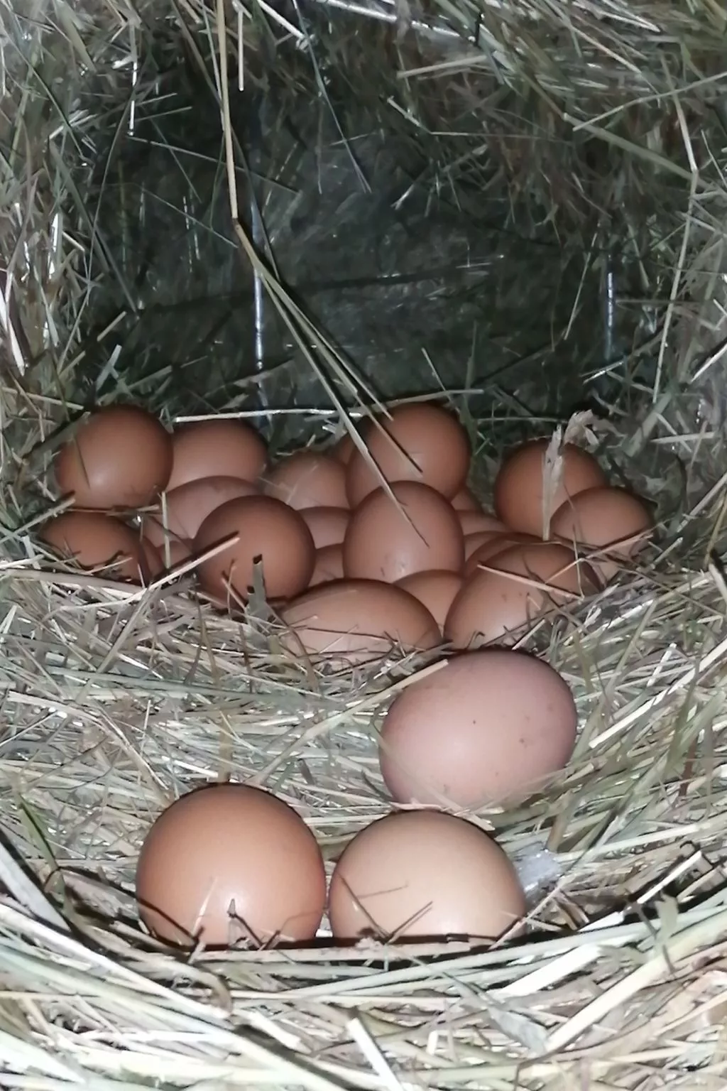 Apartment Merlot in Kurtatsch mit Panoramablick-Image-tags.info