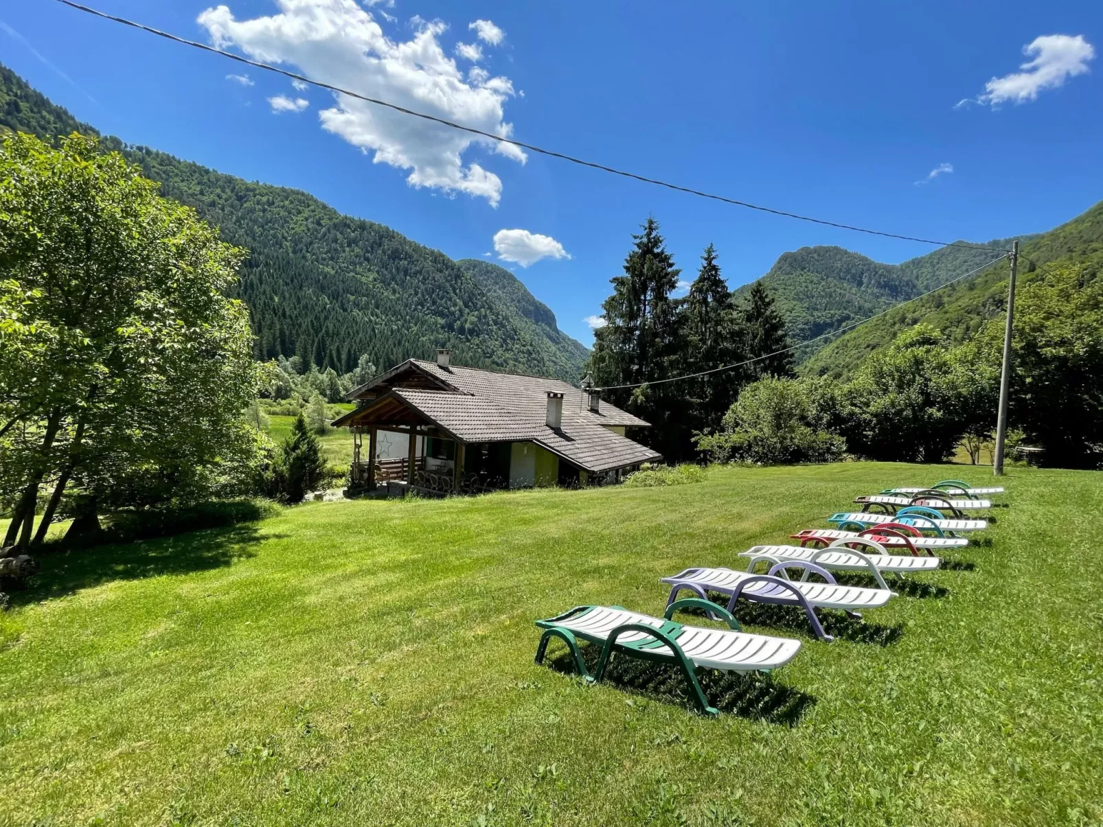 Gesegnet wie Frösche auf einem Seerosenblatt-Image-tags.info