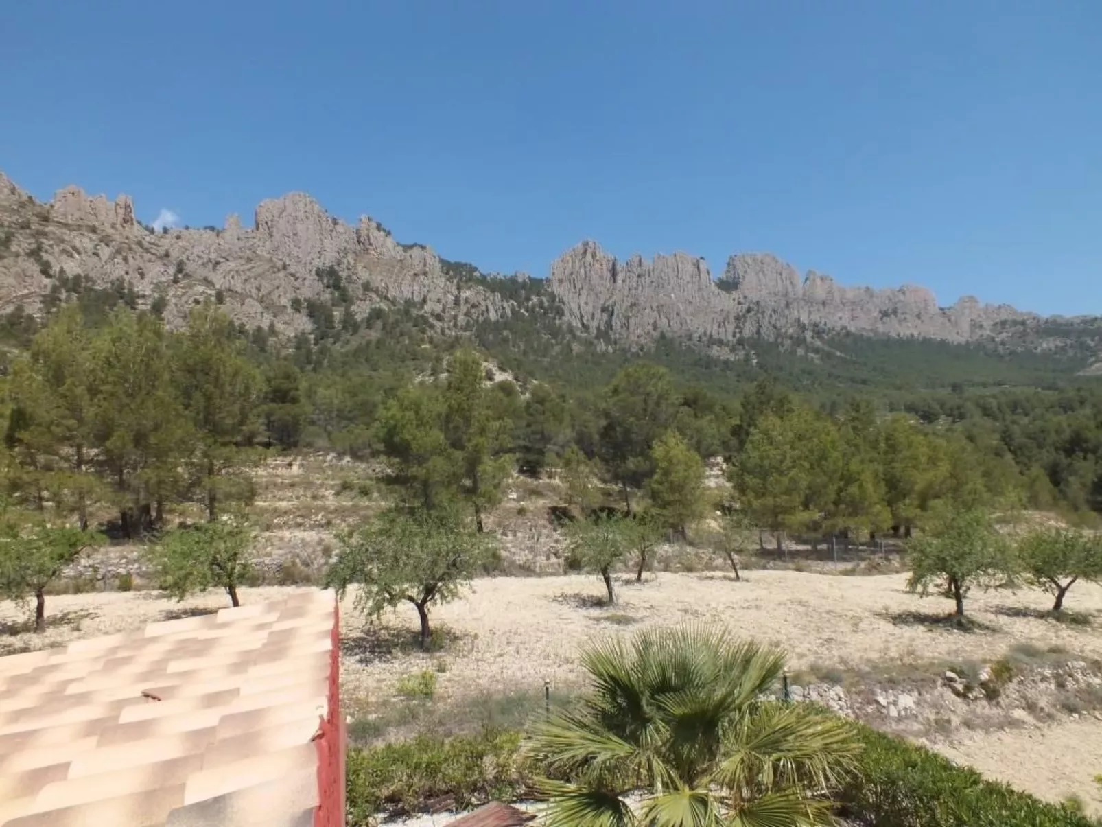 Kleines Landhaus in schöner Umgebung-Buiten