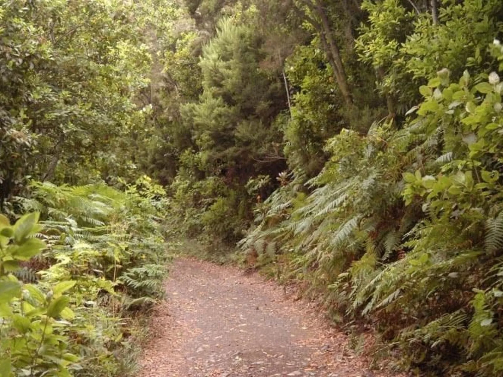 Ländliches Haus Monte del Agua-Buiten
