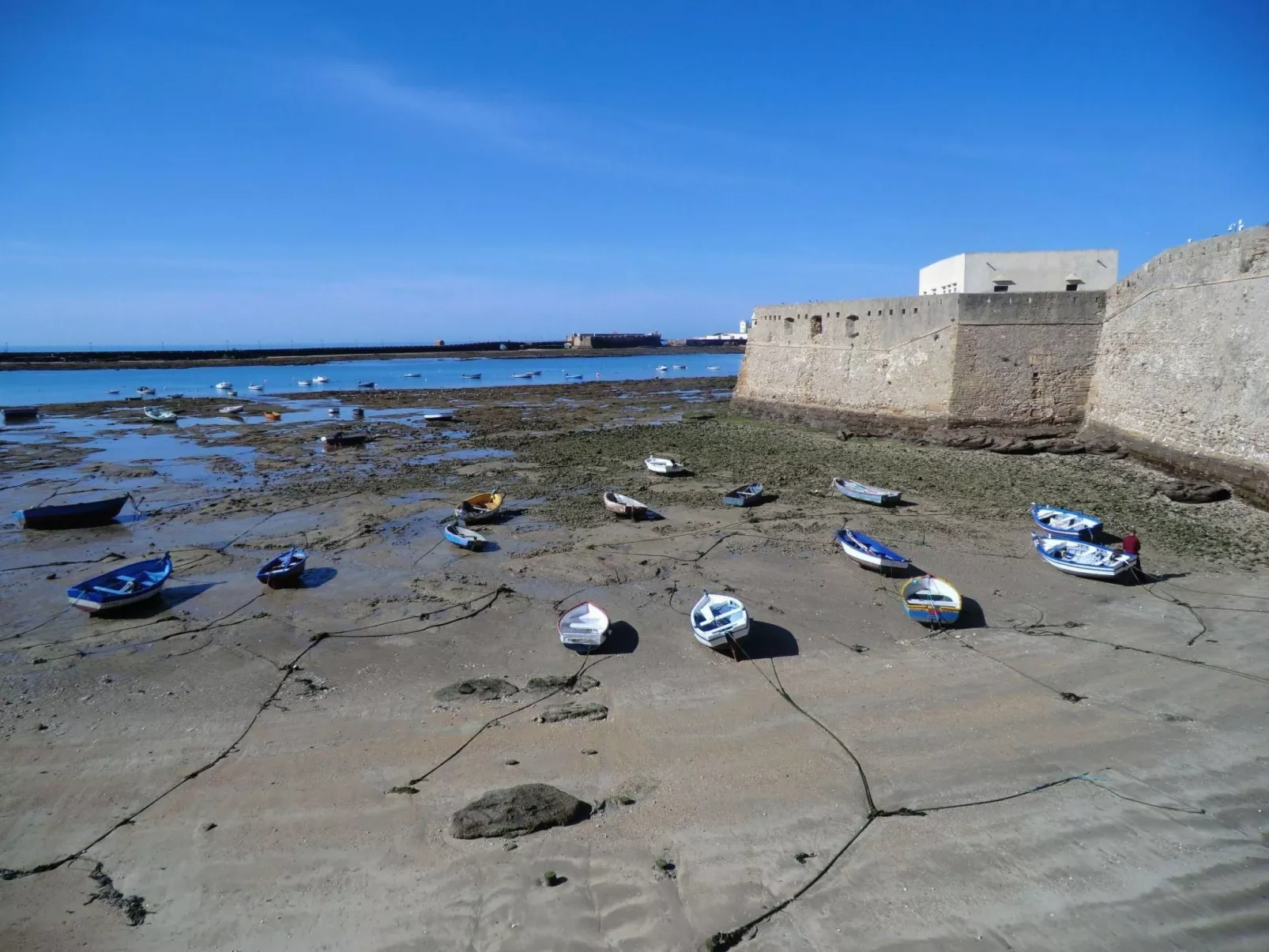 Große Wohnung in Cádiz, Kathedrale in der Nähe-Image-tags.info