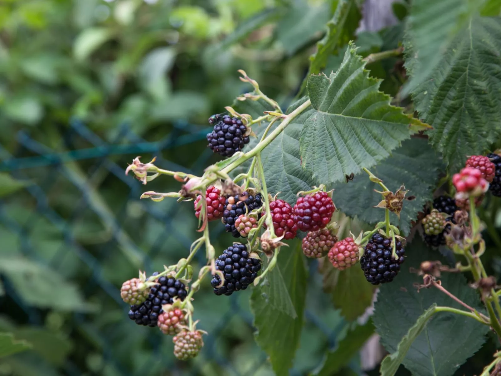 Wohnung im ersten Stock-Image-tags.info