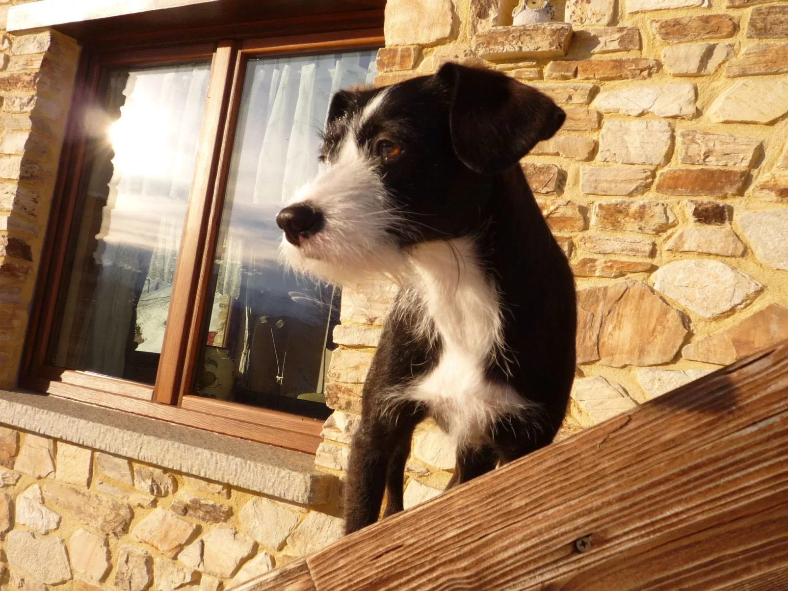 Casa Bella Vista-Buiten