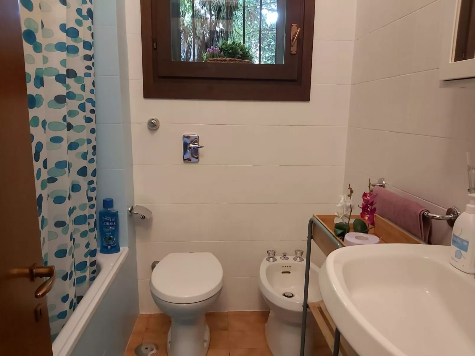 Wohnung 'Ispra Lago Maggiore'-Image-tags.info