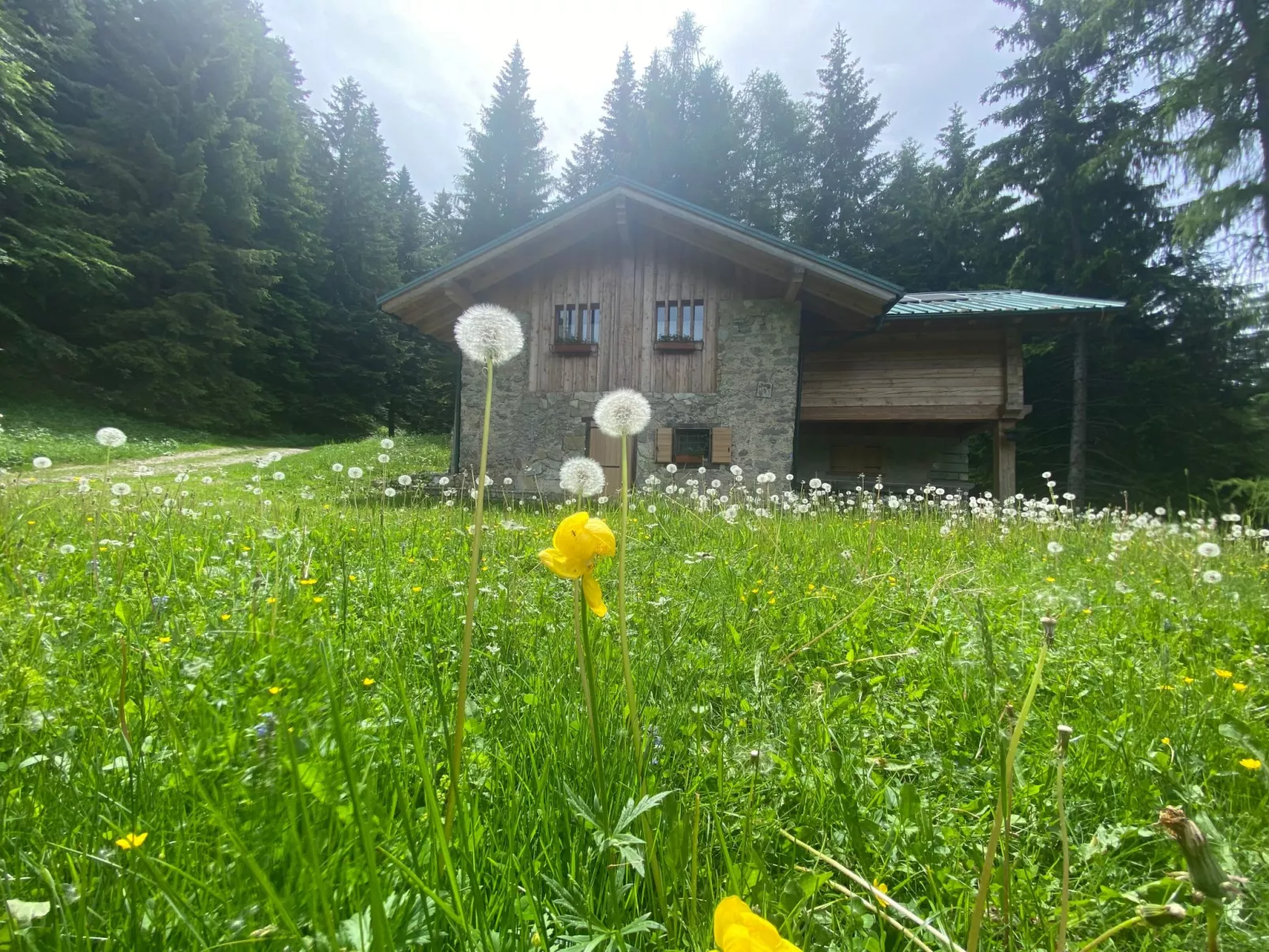 Mit Sauna in Pieve Di Bono-Buiten