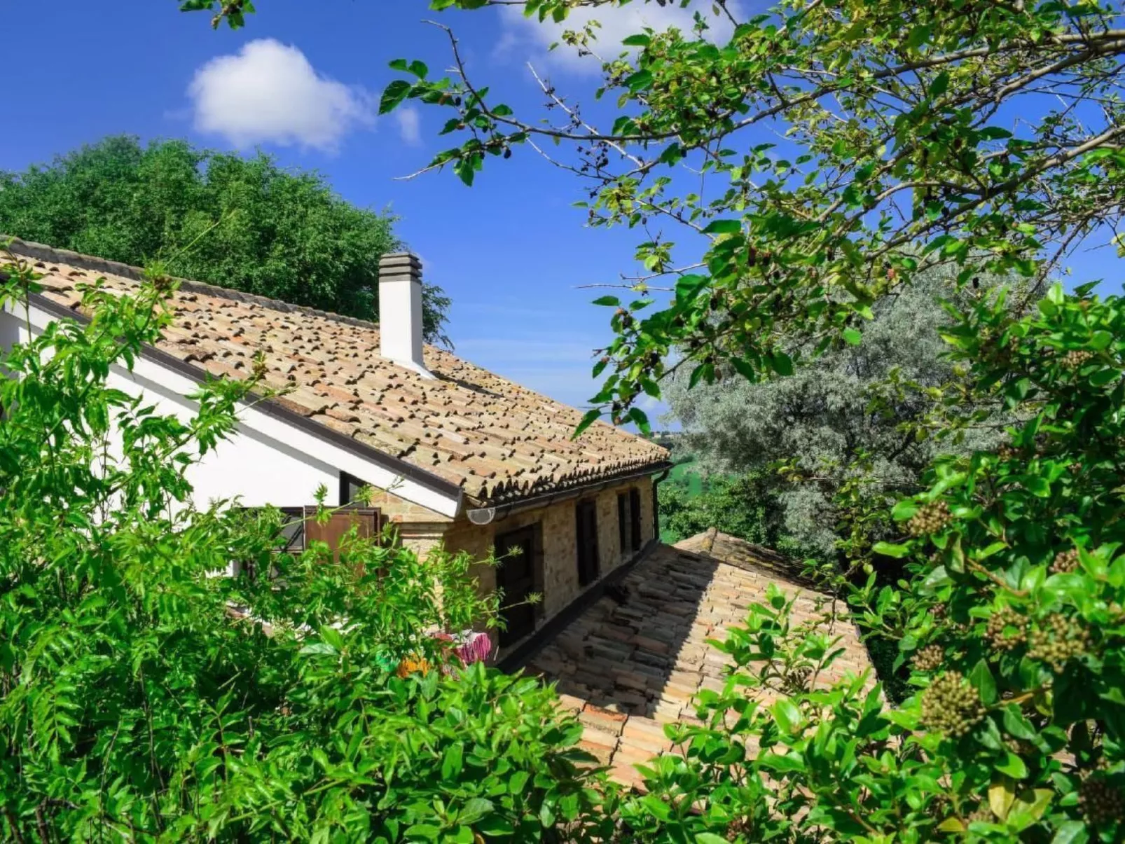 Studio  BUBO  - Pool - Ausblick- Kunst-Buiten