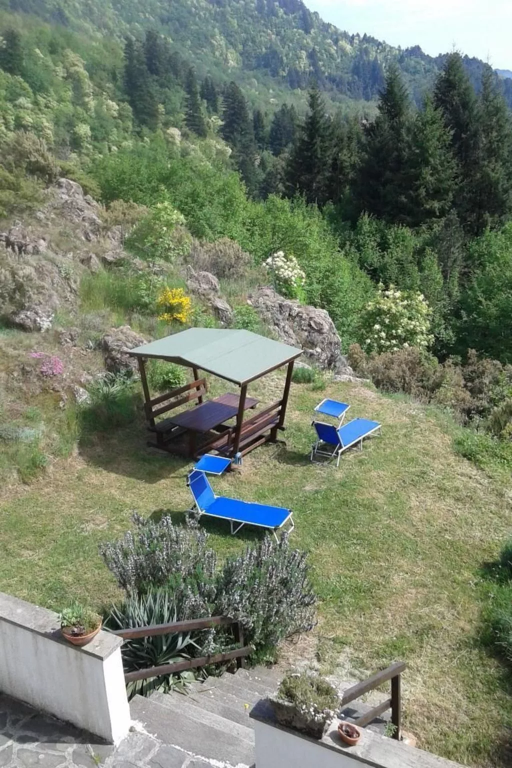 Natur und Entspannung, Villa im Park-Buiten