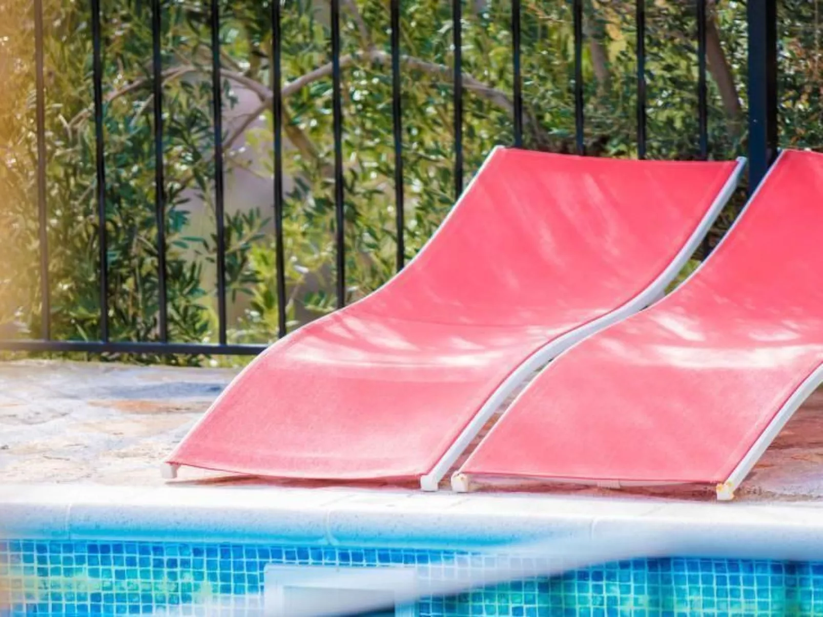 Tenguerengue-Image-tags.info