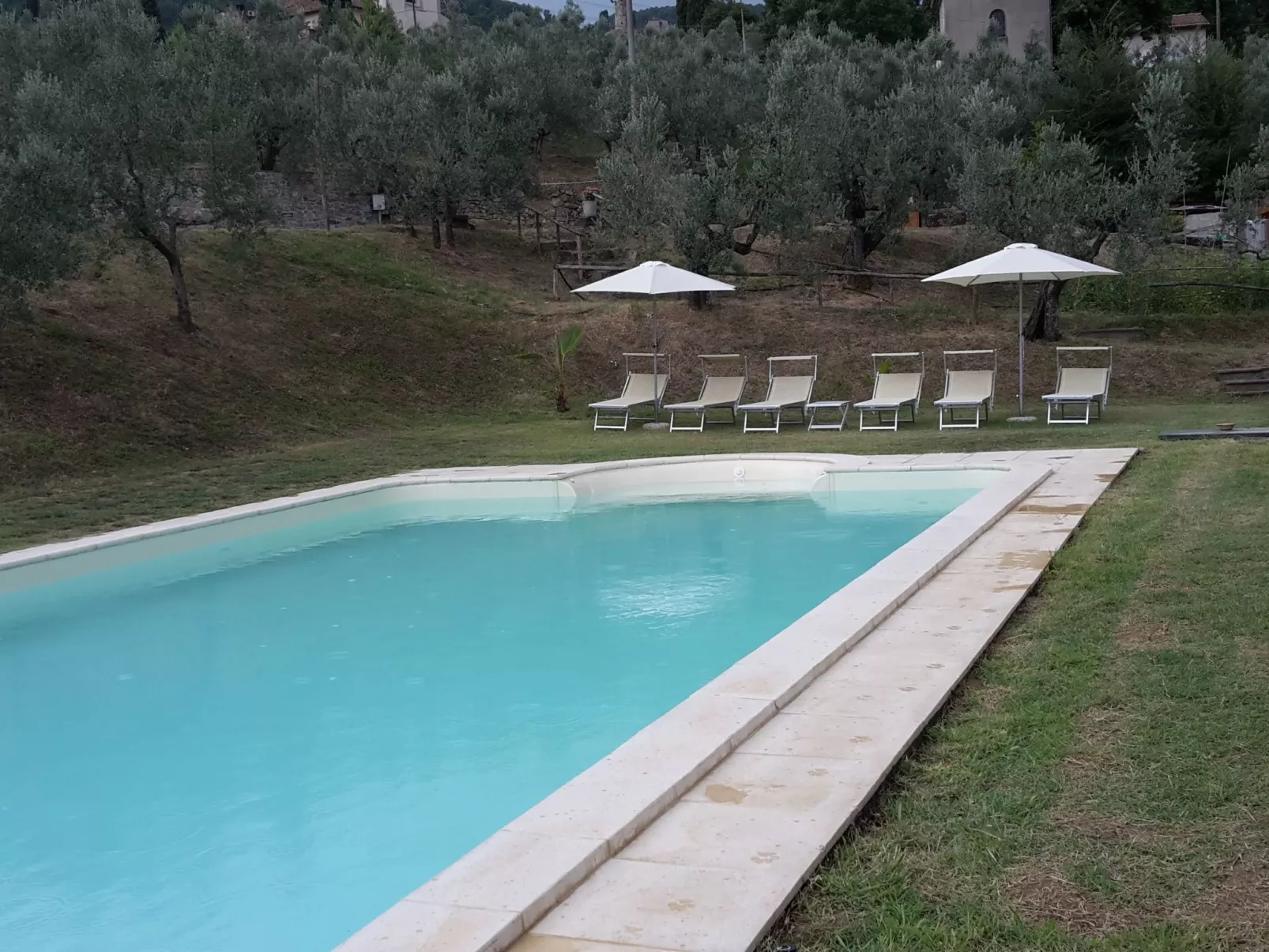 Ein Haus in der Olivenhaine - casa buriano GIULIA-Buiten