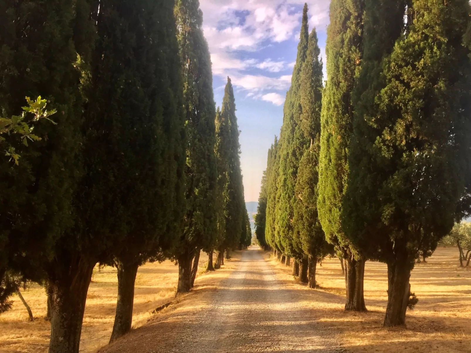 Villa mit Pool und zauberhafter Aussicht-Image-tags.info