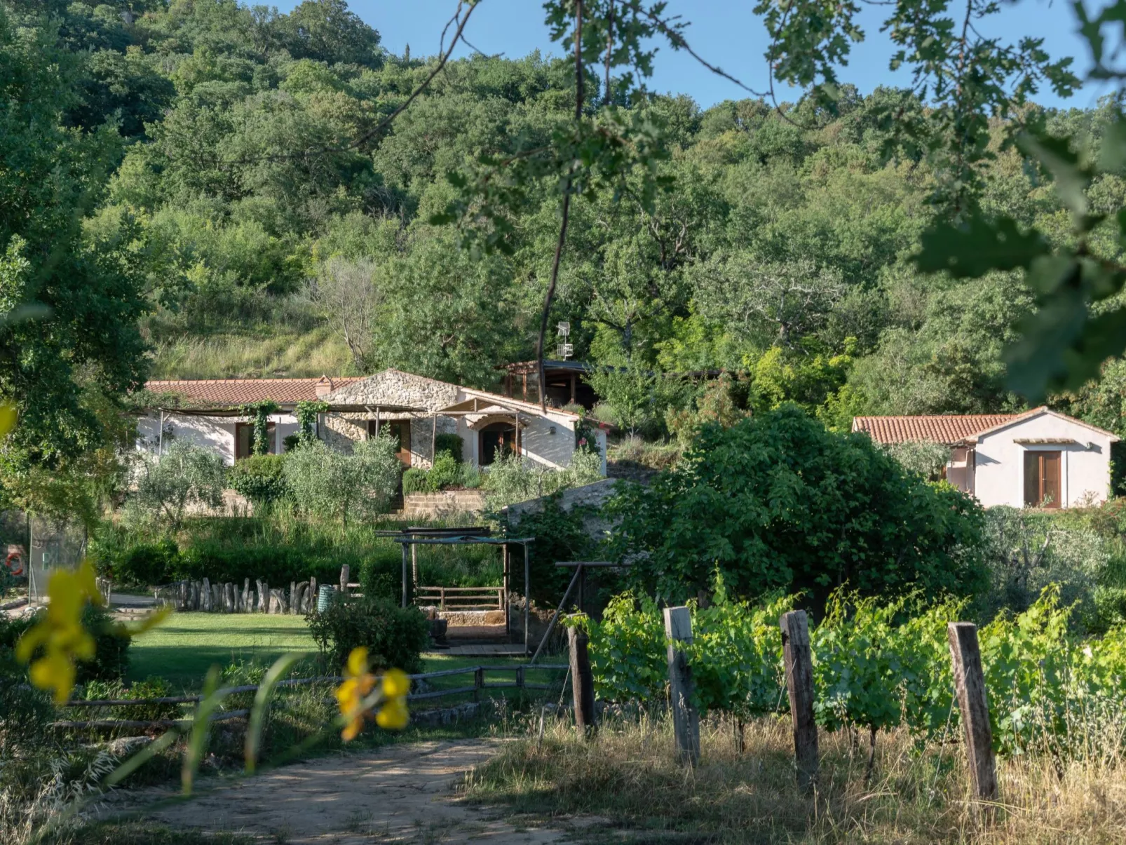 Il Borghetto, bis zu 19 Betten - Image-tags.info