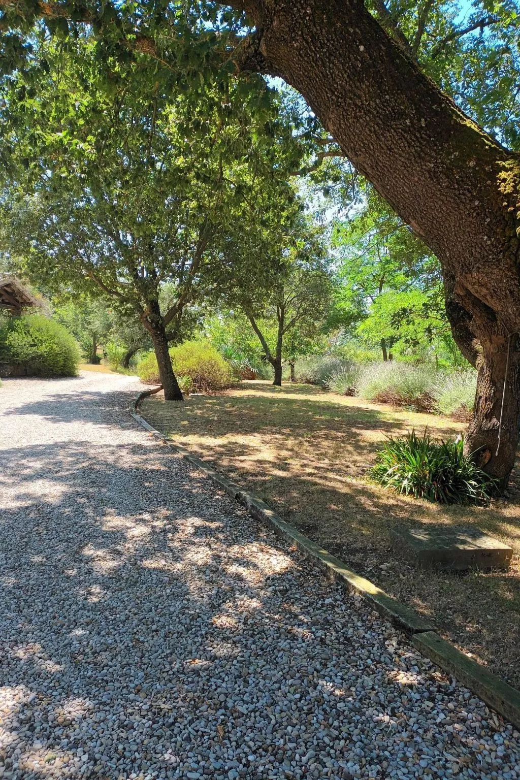 LaPorcilaia, Ferienwohnung mit Seeblick. - Image-tags.info