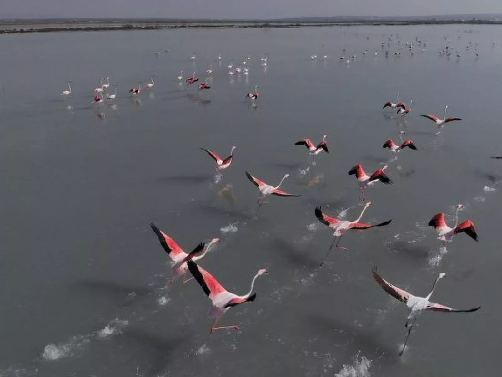 Penthouse in Torrevieja