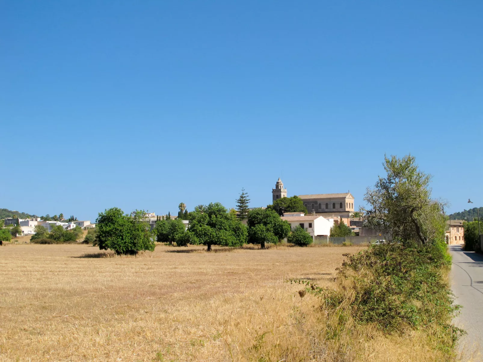 Finca 'Esporrassar' mit Terrasse-Omgeving