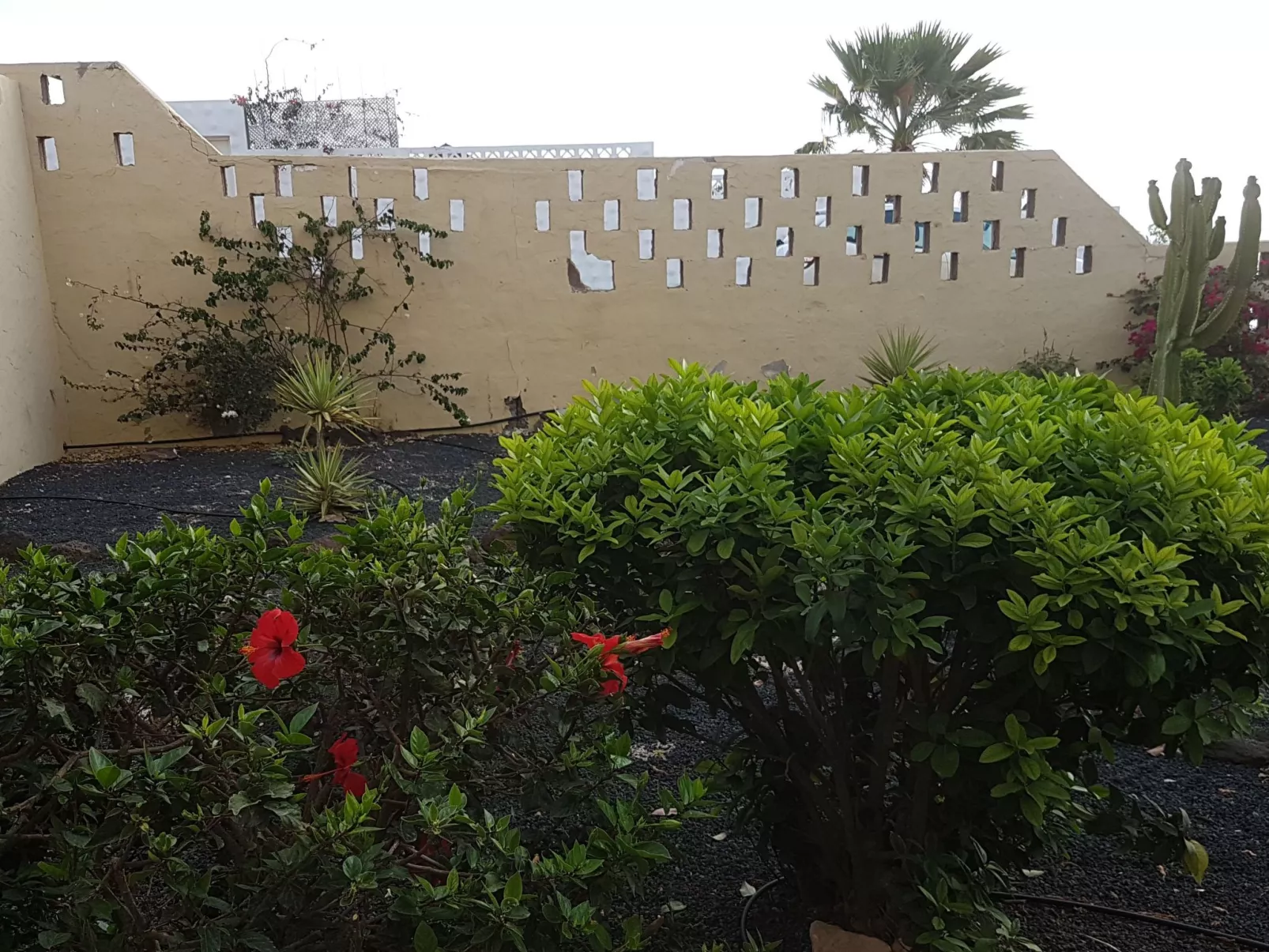 Moderne Ferienwohnung Casavovo mit Terrasse