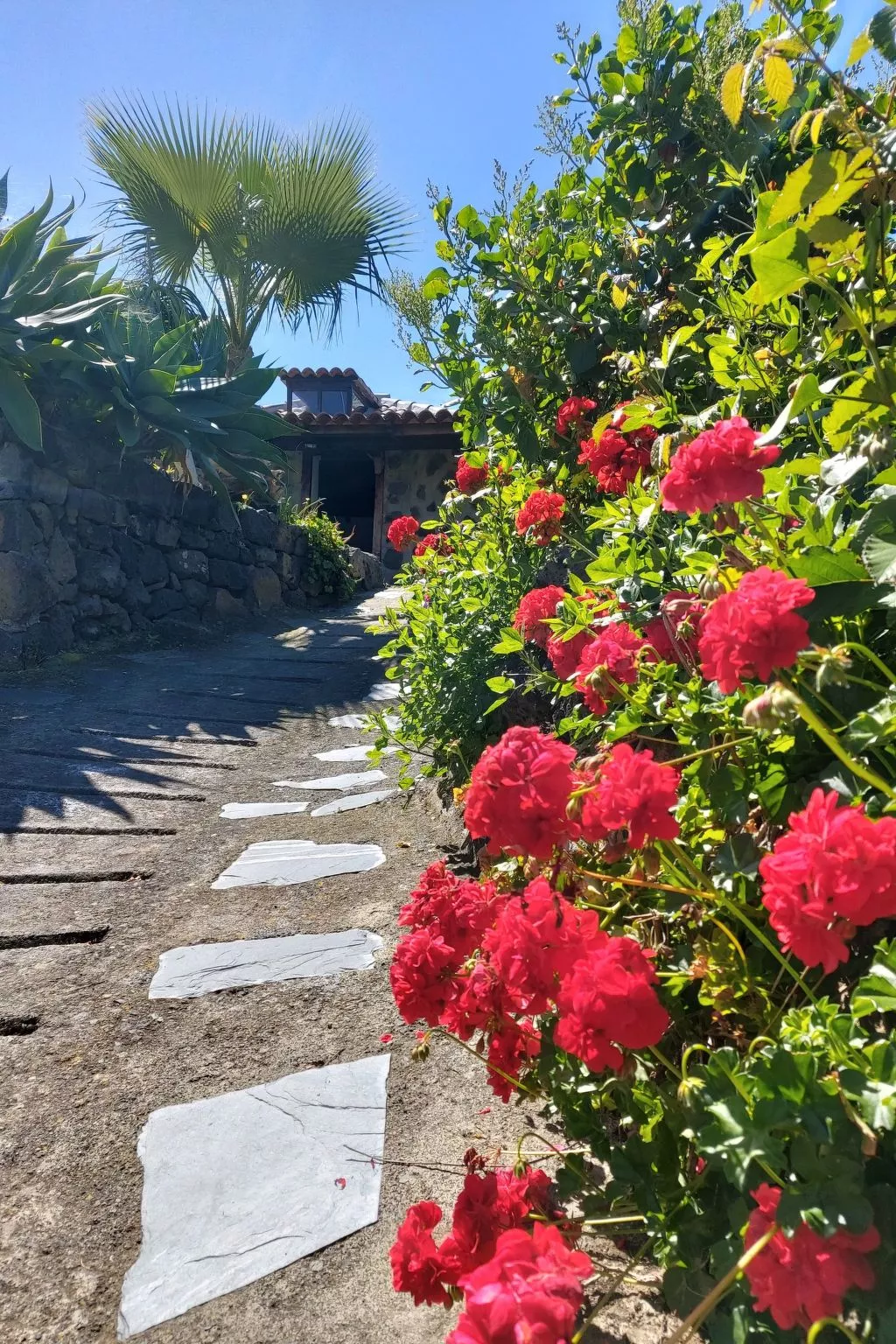 FW Cueva del Viento-Buiten