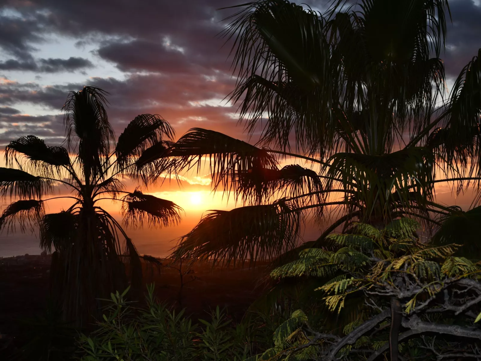 Villa del Duque-Buiten