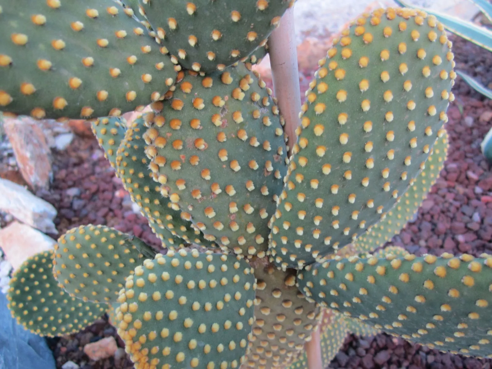 Wohnung mit Wasserblick