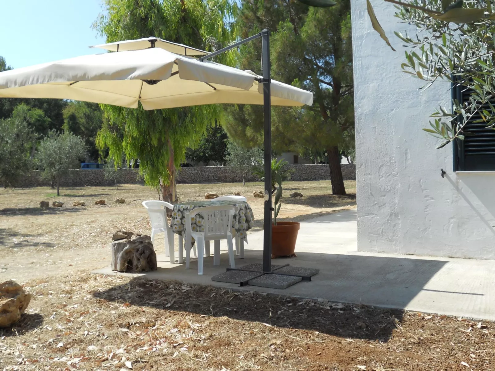 Schönes und gemütliches Studio-Apartment