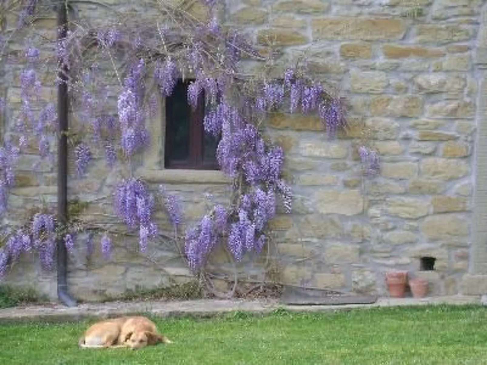 Intero Agriturismo-Buiten