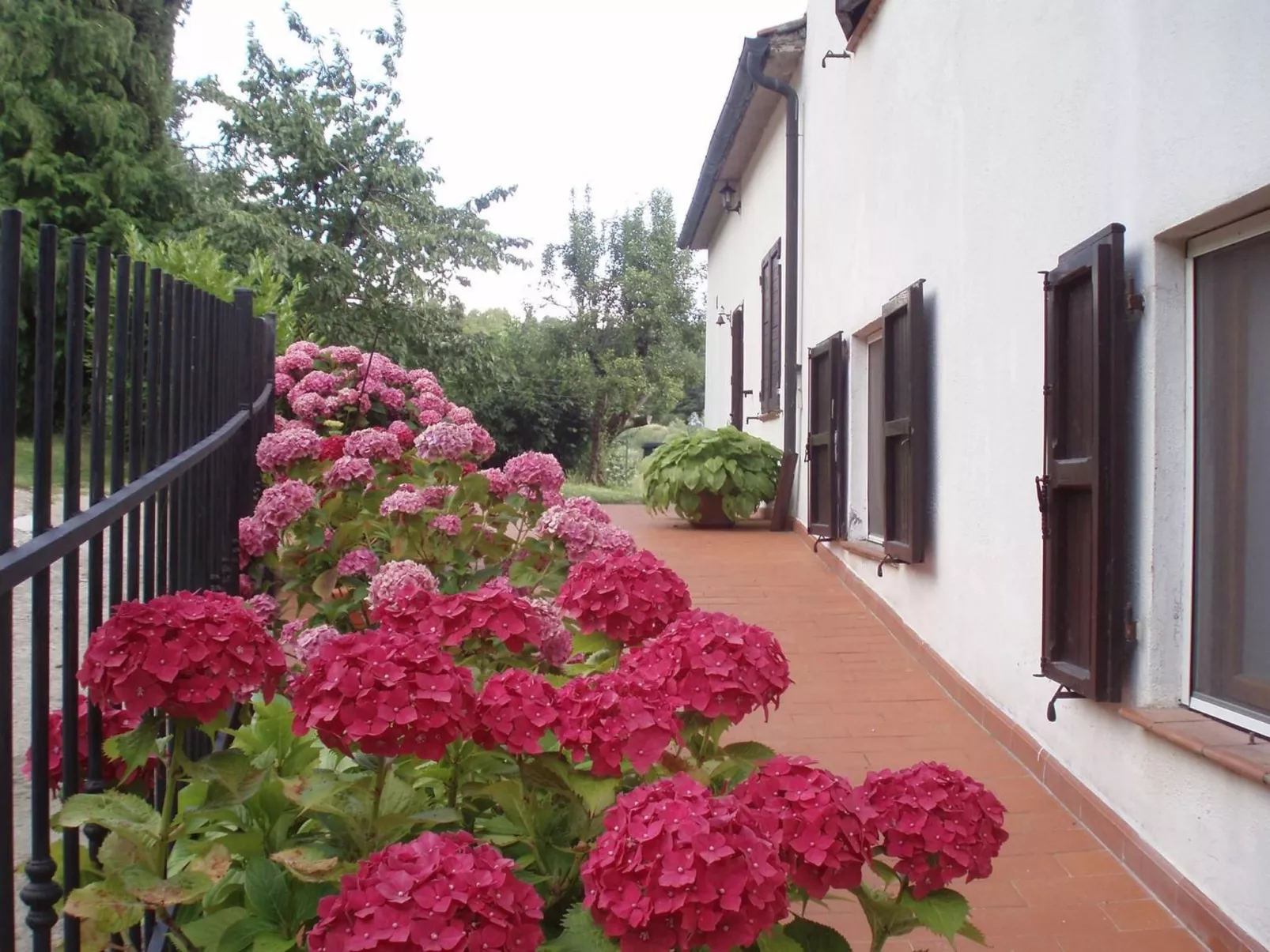 'Fasan' mit Balkon-Buiten