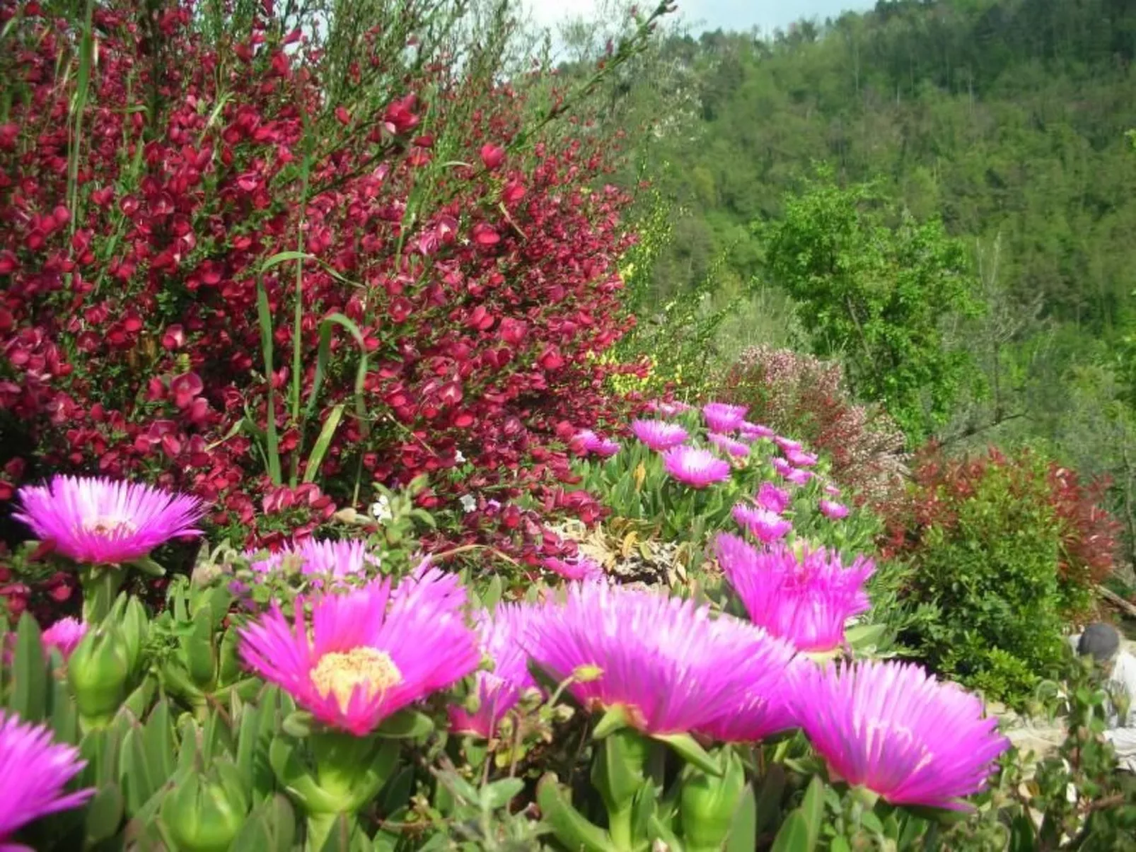 Bauernhaus Biancospino-Image-tags.info