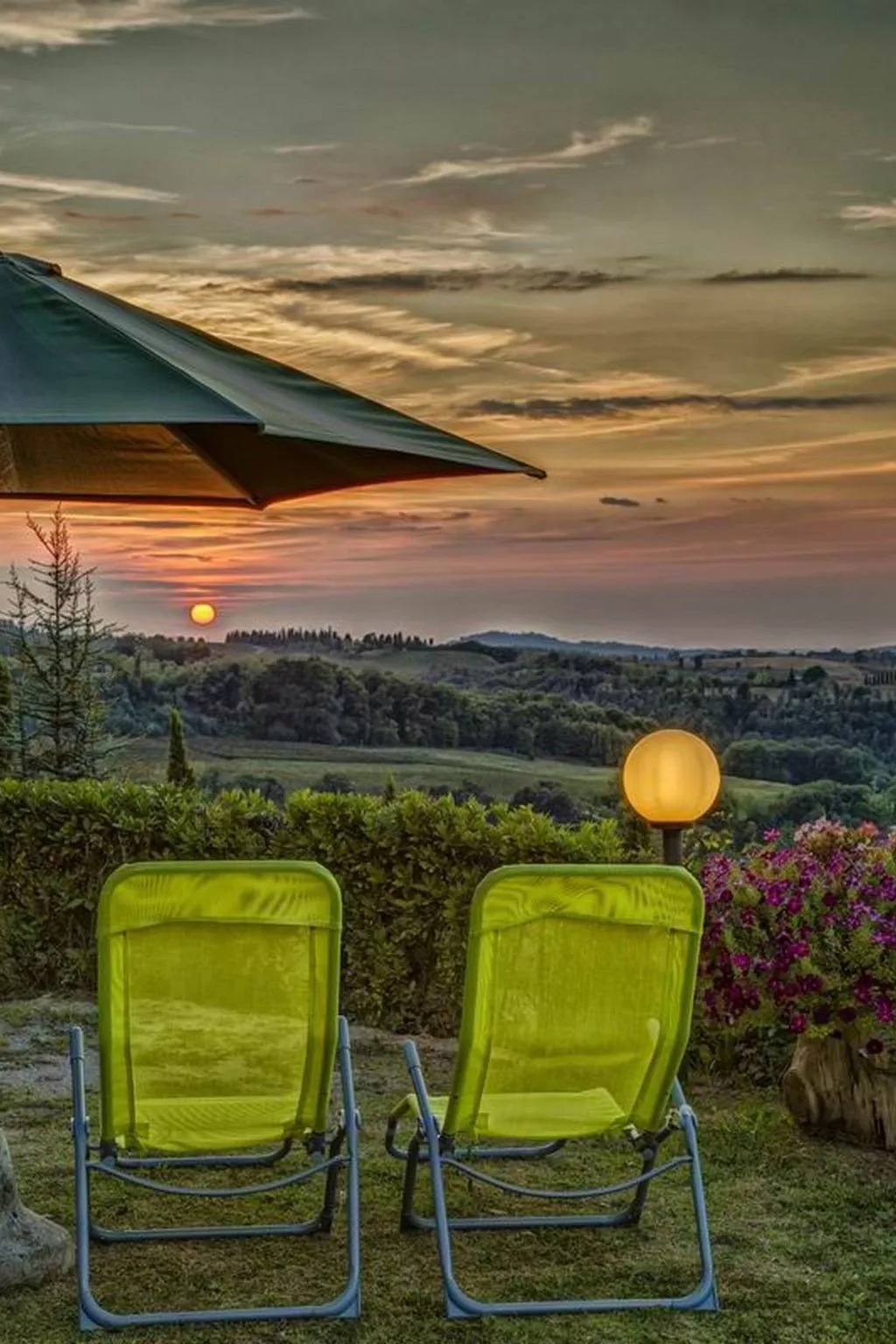 'Donatello leccino'-Buiten