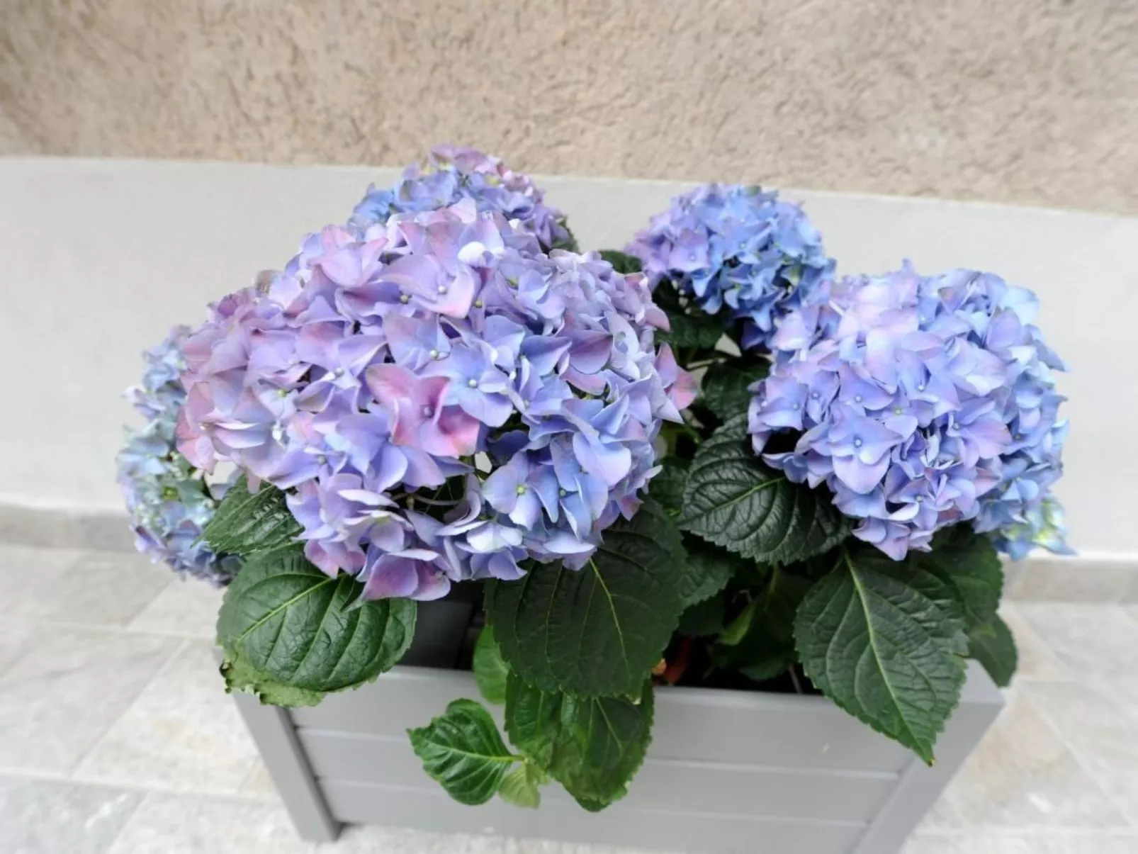 Wohnung 'Bella Vacanza 3 - Buiten