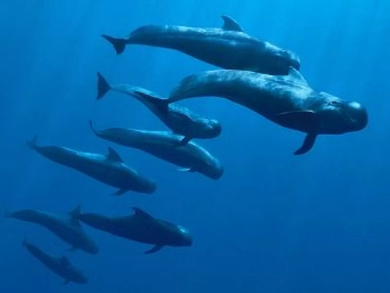 Wohnung mit Aussicht auf Meer und Klippen