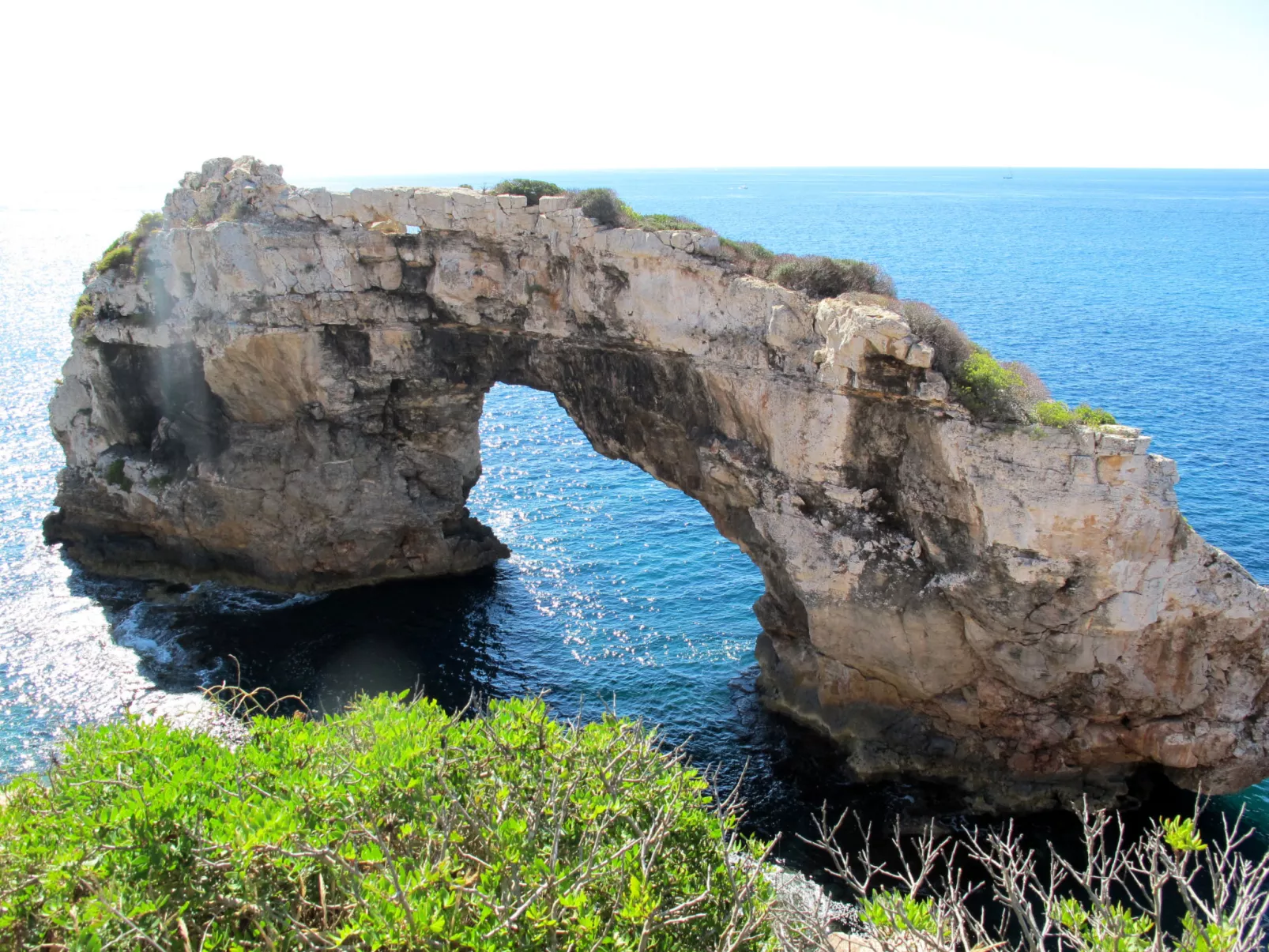 Finca Campino-Omgeving