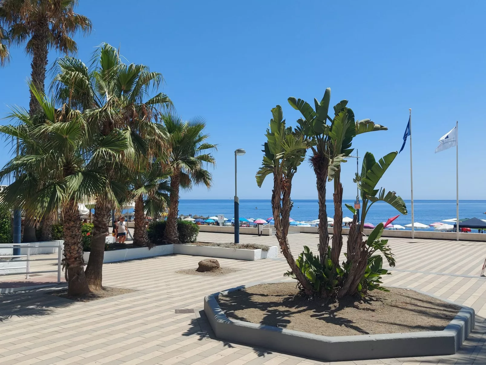 Studio Europa beachfront