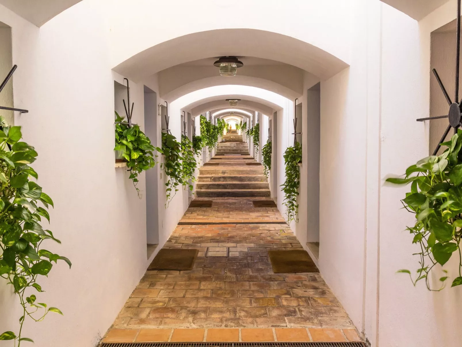 Sea Life in Taormina