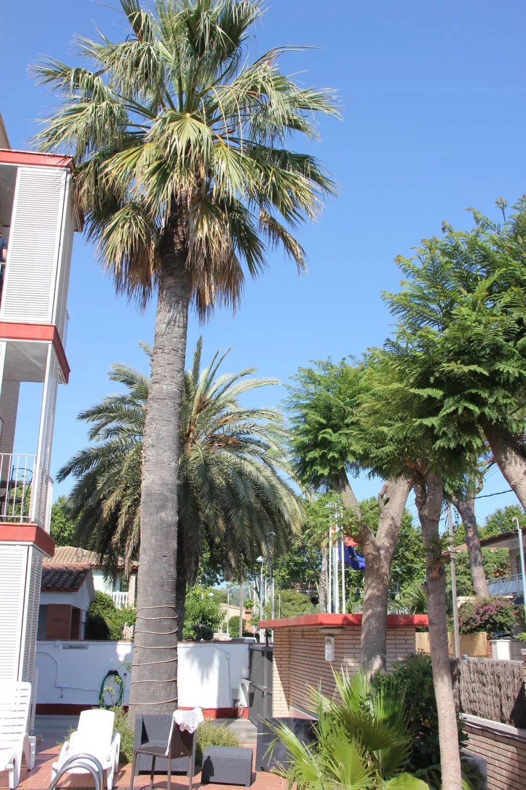 "Caru" mit Terrasse-Image-tags.info