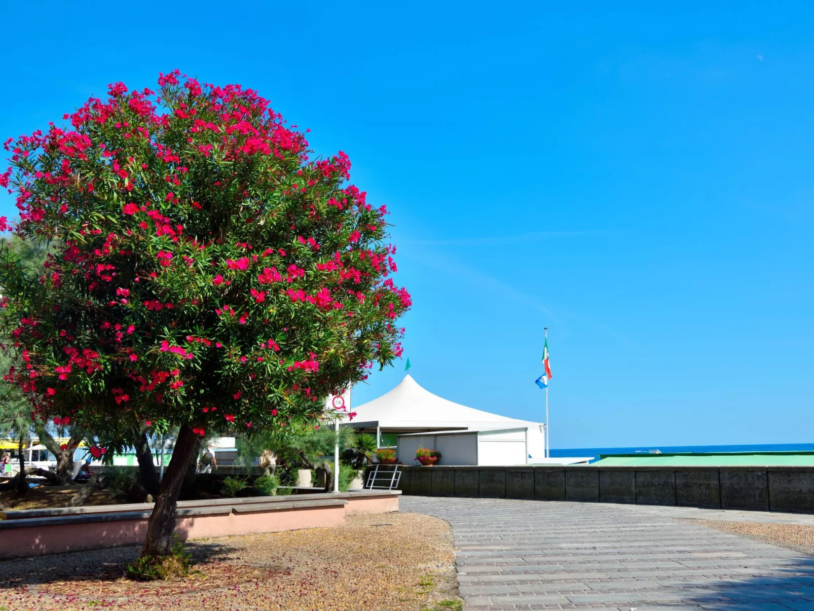 La Bella Vita Marina Beach by Holiday World-Image-tags.info