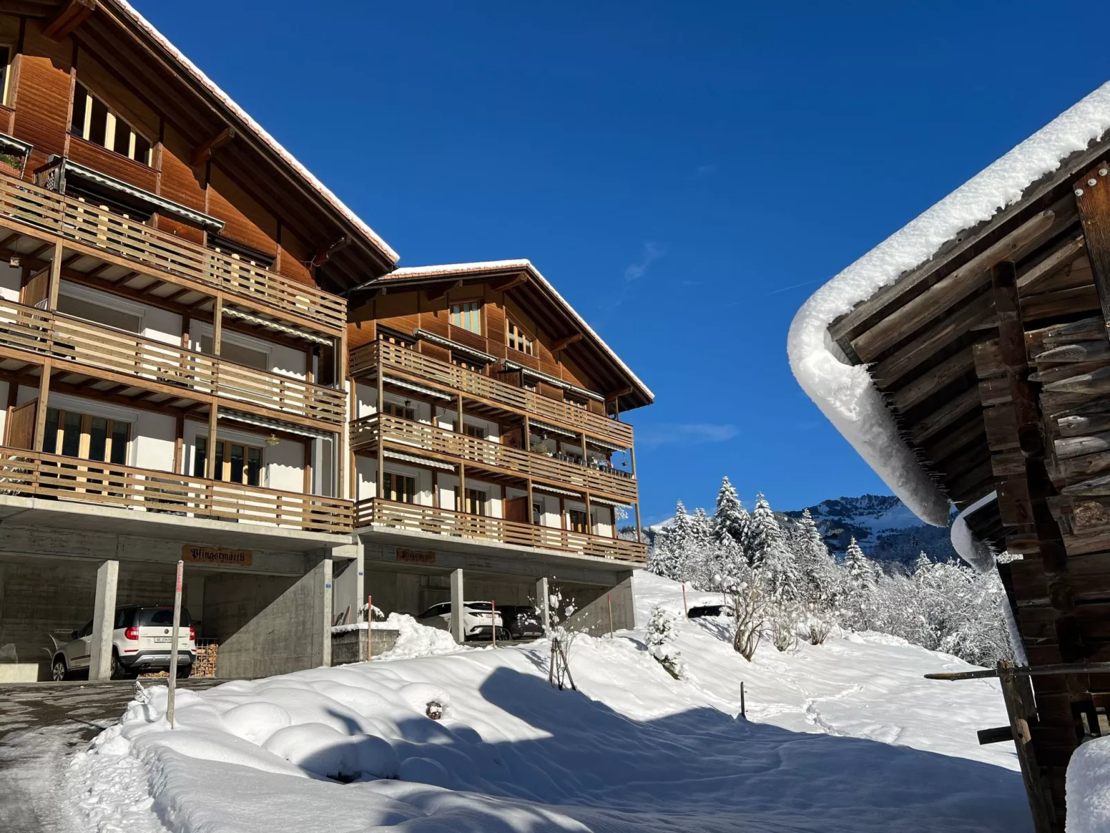 Pfingstweidli 6 Bett Wohnung